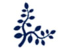 Food processing and Agro based Industries